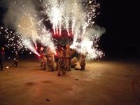 fotofies2010-12
